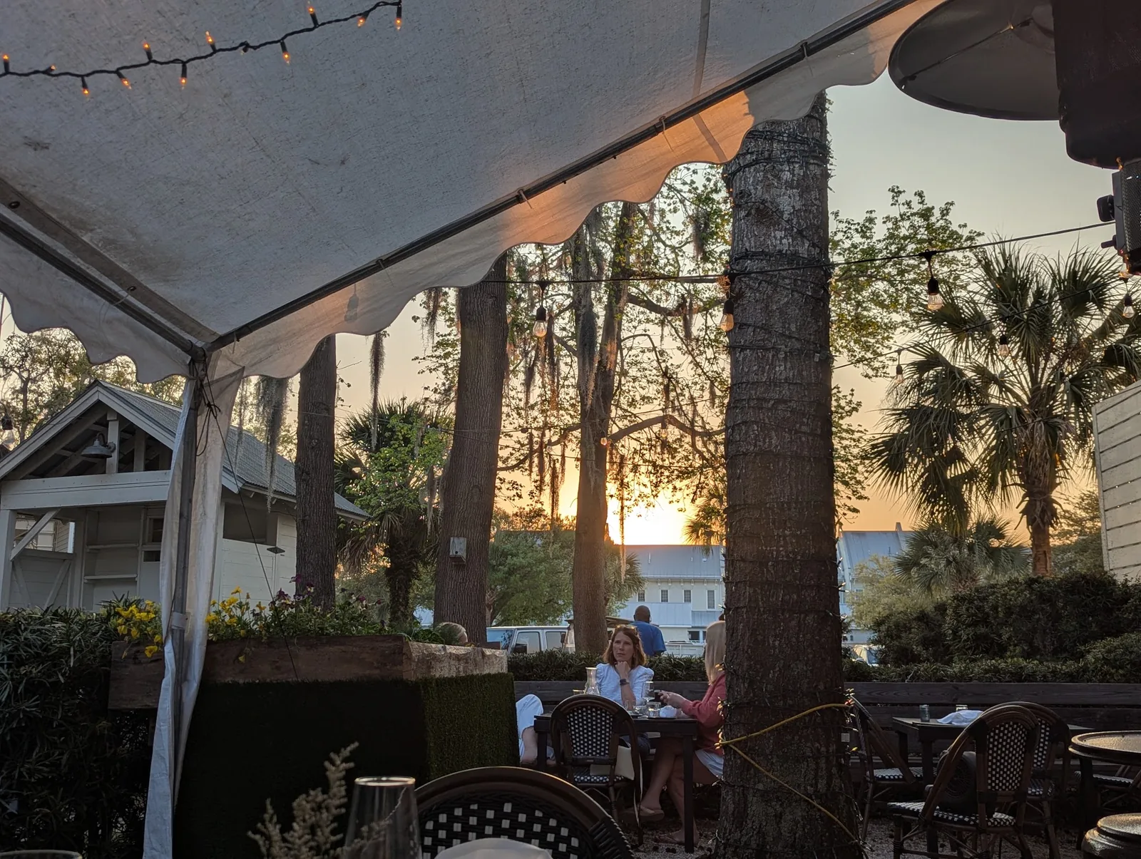 The Bistro Ten patio at dusk, string lights strung between the canopy poles and palms